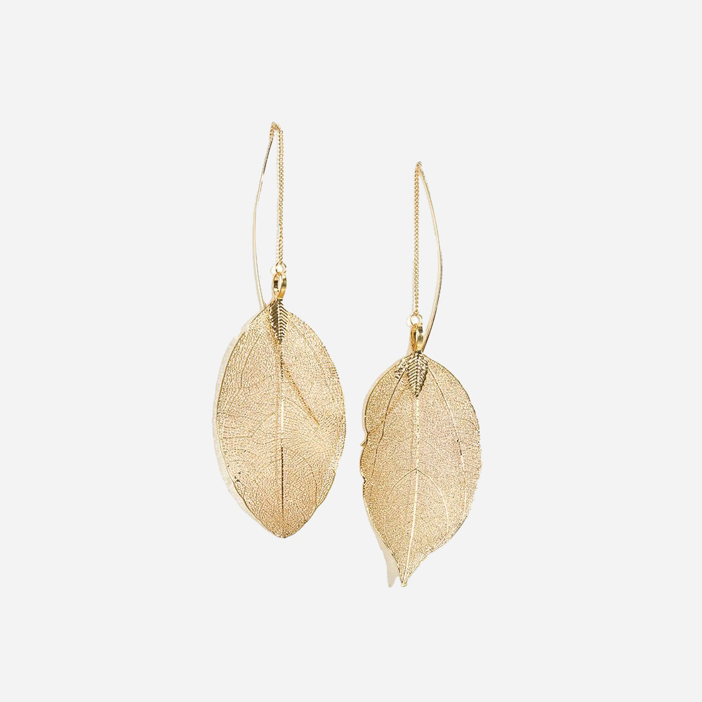 Radiant Sunrise Wisteria - Image 3